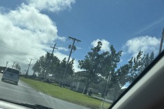 IMG_20250505_121615-5