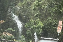 IMG_20250505_121615-8