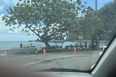 IMG_20250505_121616-10