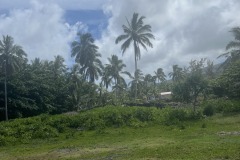IMG_20250505_121616-21