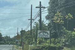 IMG_20250505_121616-7
