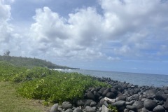 IMG_20250505_121617-1