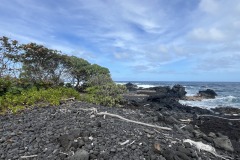IMG_20250505_121617-5