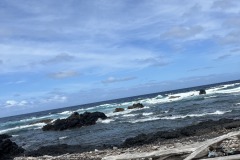 IMG_20250505_121617-8